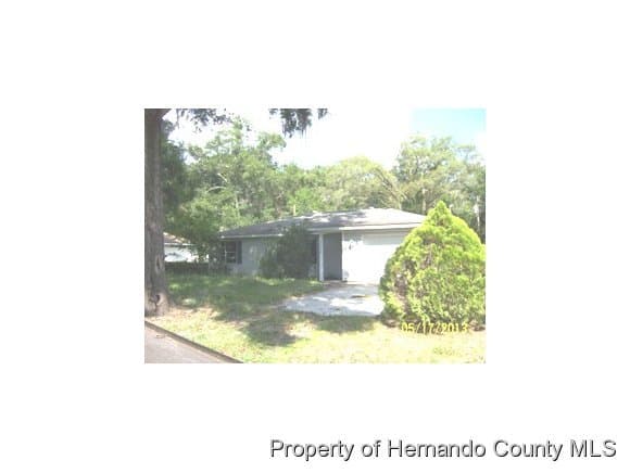 1110 Monroe Avenue, Masaryktown, FL, 34604