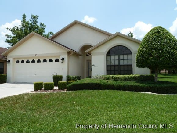 11390 Deercroft Court, Spring Hill, FL, 34609