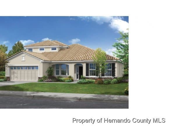 13341 Weatherstone Drive, Spring Hill, FL, 34609
