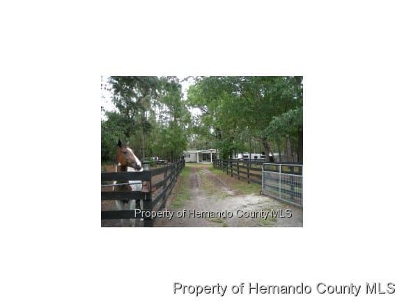 17815 Rockledge Springhill(pasco), Spring Hill(pasco), FL, 34610