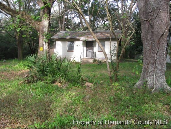 117 Washington Avenue, Masaryktown, FL, 34604