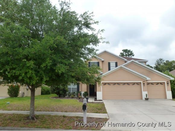 4671 Birchfield Loop, Spring Hill, FL, 34609
