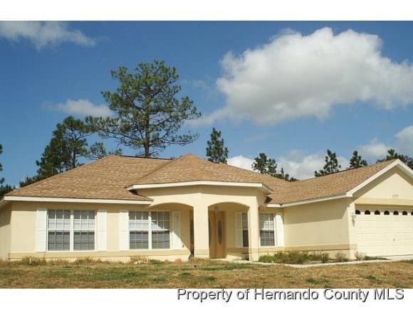 12359 Snowy Egret Avenue, Weeki Wachee, FL, 34614