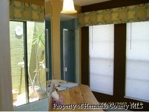 384 Dandelion Court, Spring Hill, FL, 34606