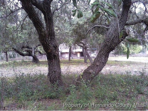 17437 Llaura Lee Drive, Spring Hill(pasco), FL, 34610