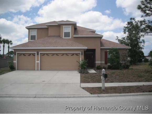 4317 Birchfield Loop, Spring Hill, FL, 34609