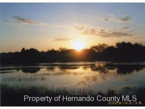 383 Dandelion Court, Spring Hill, FL, 34606