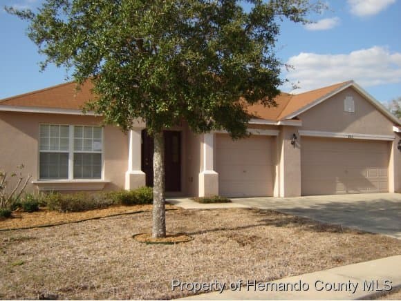 4545 Birchfield Loop, Spring Hill, FL, 34609