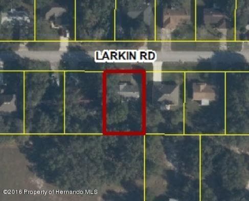 1439 Larkin Road, Spring Hill, FL, 34608