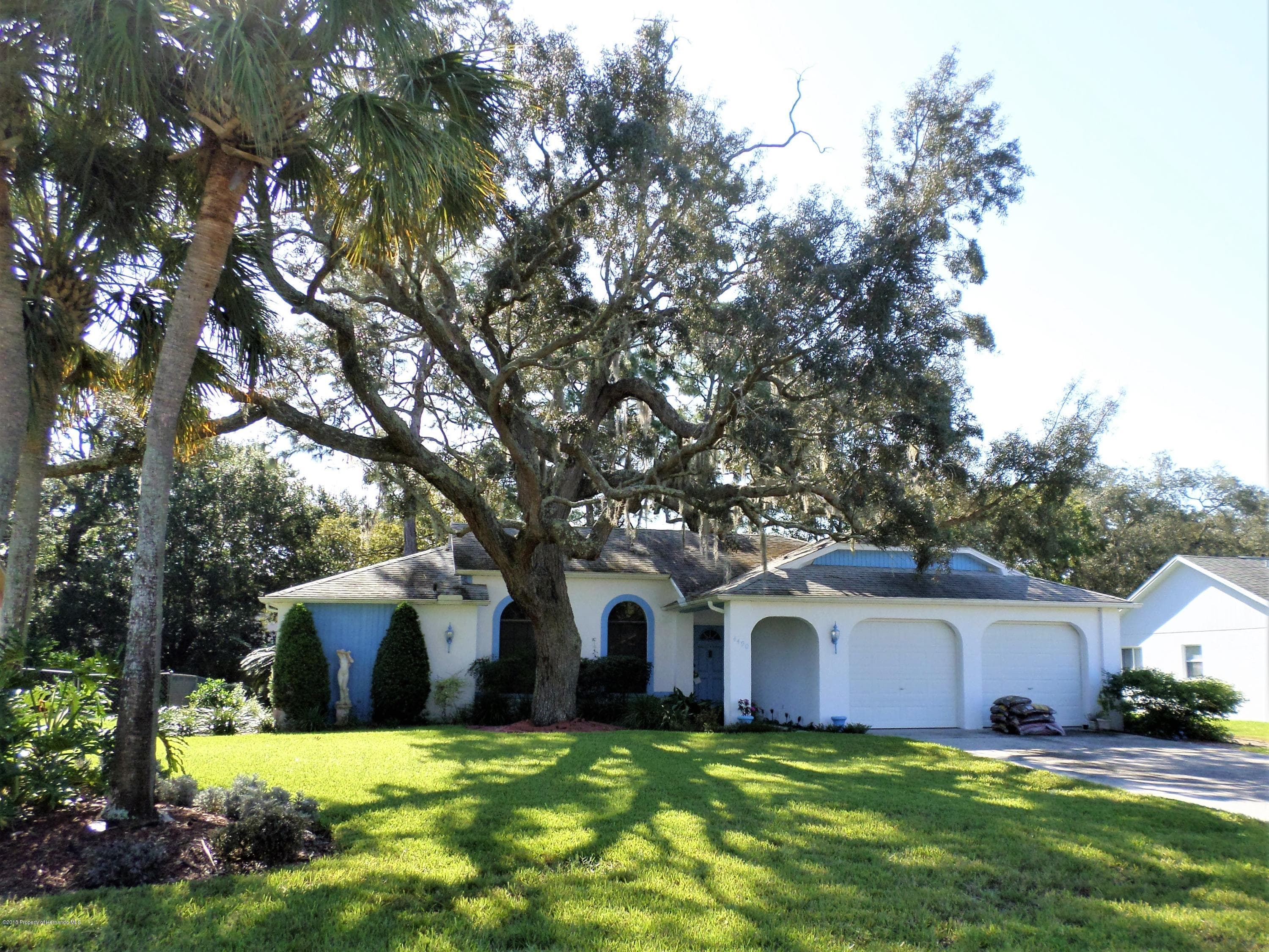 4490 Plumosa Street, Spring Hill, FL, 34607