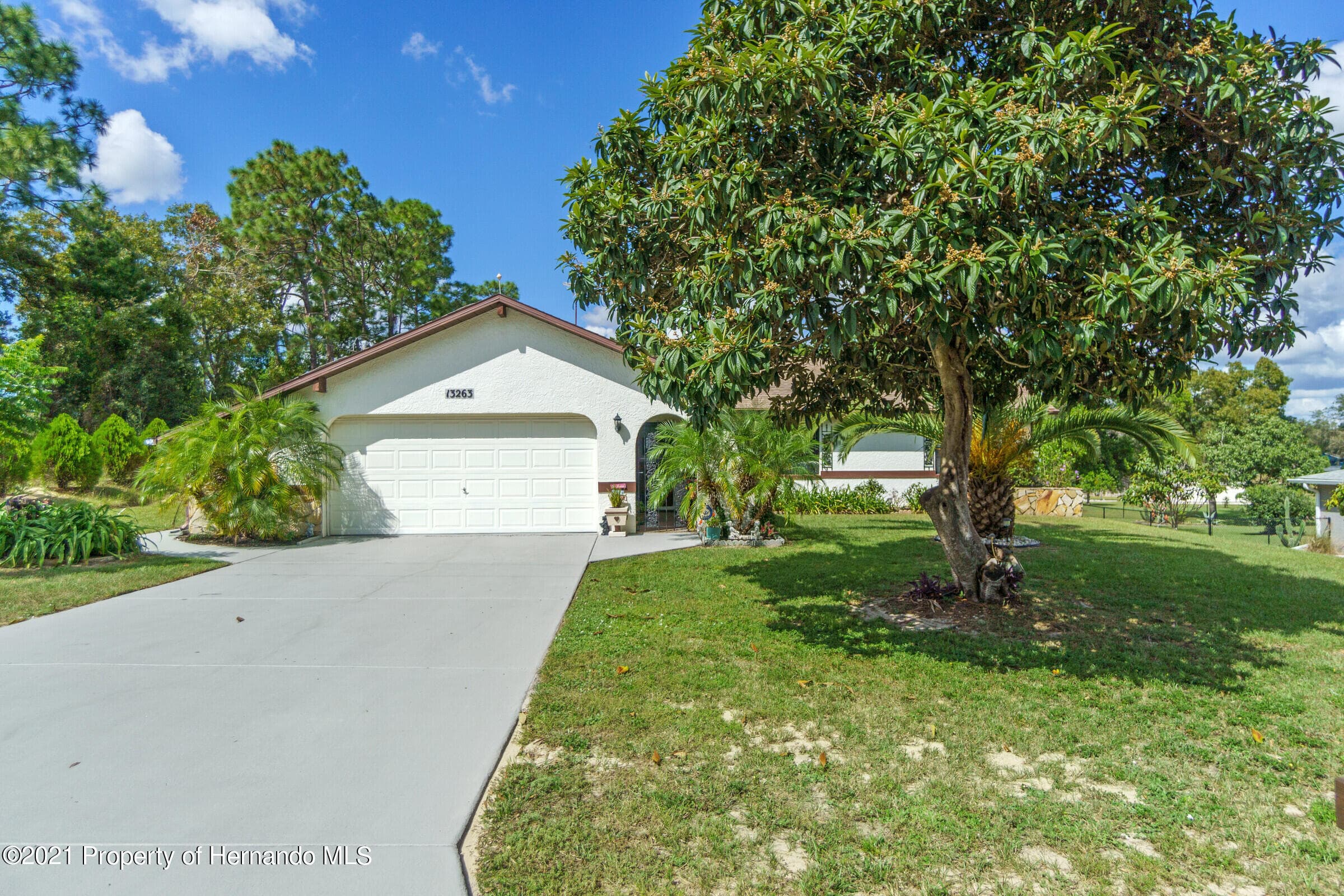 13263 Branchville Road, Spring Hill, FL, 34609