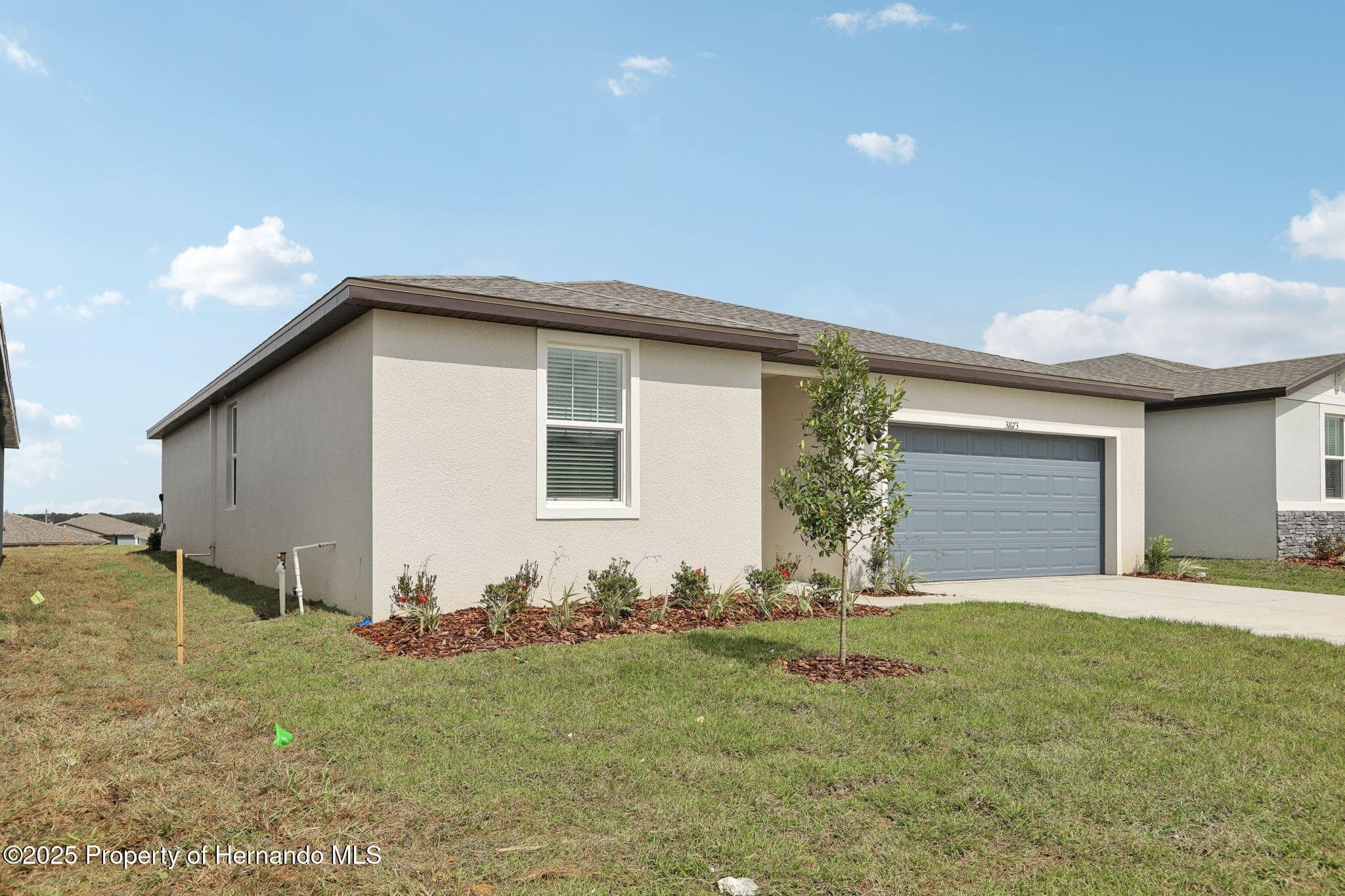 31673 WILD GRAPE Lane, Brooksville, FL, 34602 photo 3