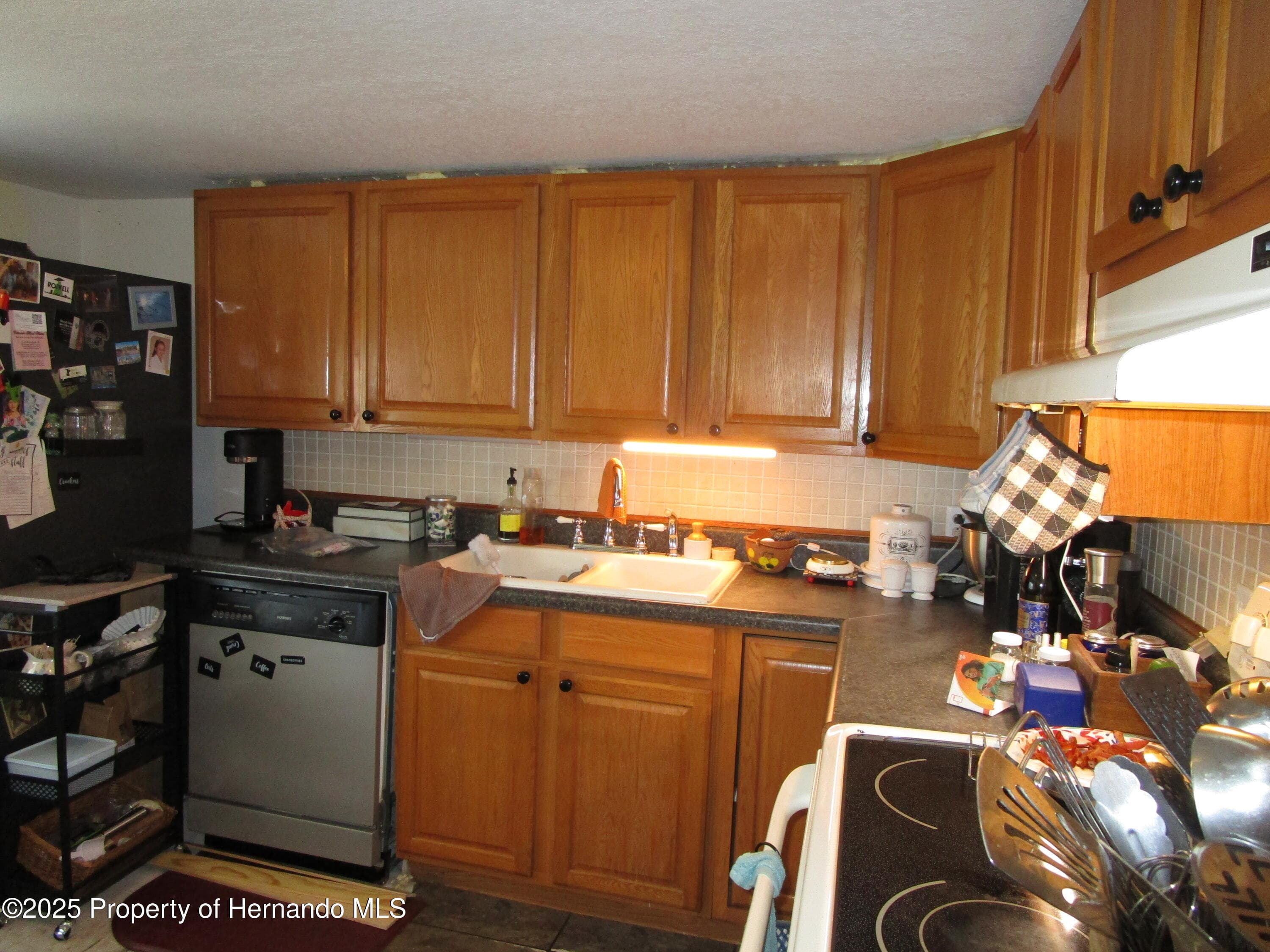 17609 BATHURST Avenue, Spring Hill(Pasco), FL, 34610 photo 2