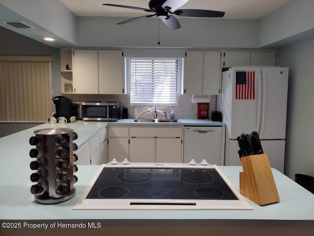 6630 River Run Boulevard, Weeki Wachee, FL 34607 photo 3