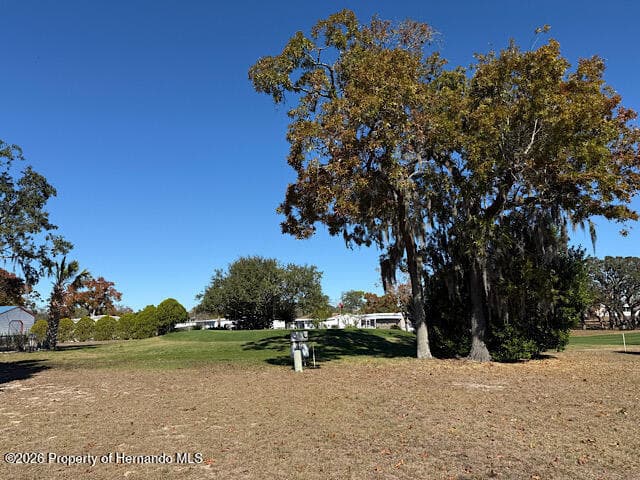 12279 Obrien Avenue, Brooksville, FL 34613 photo 5