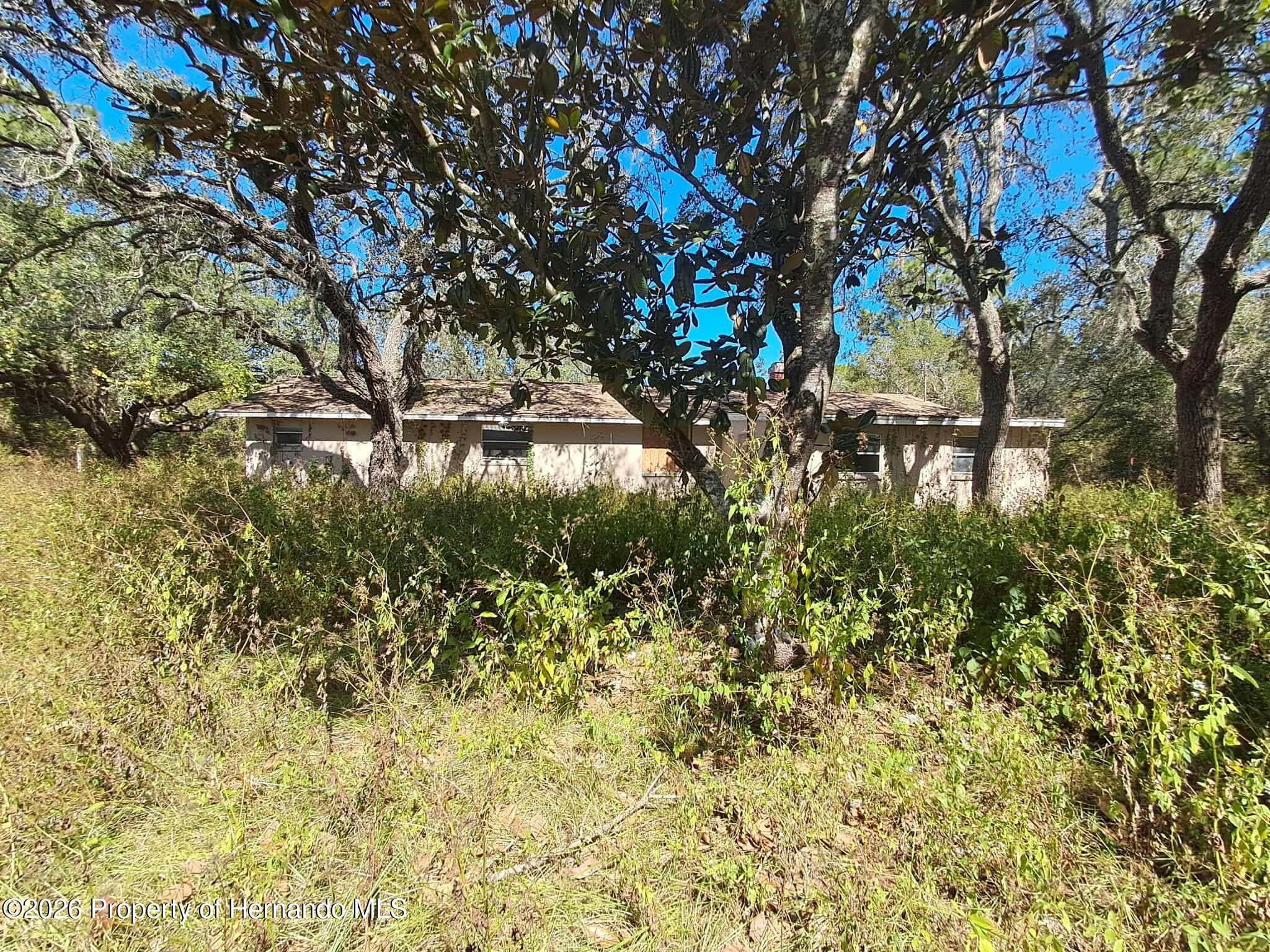 12020 Duda Road, Hudson, FL 34667 photo 5