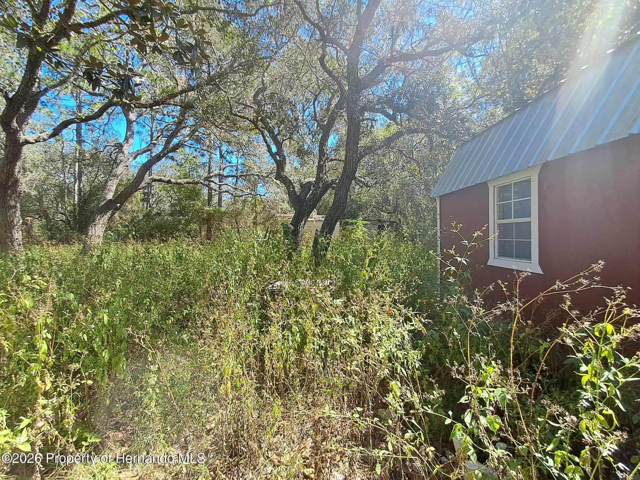 12020 Duda Road, Hudson, FL 34667 photo 4