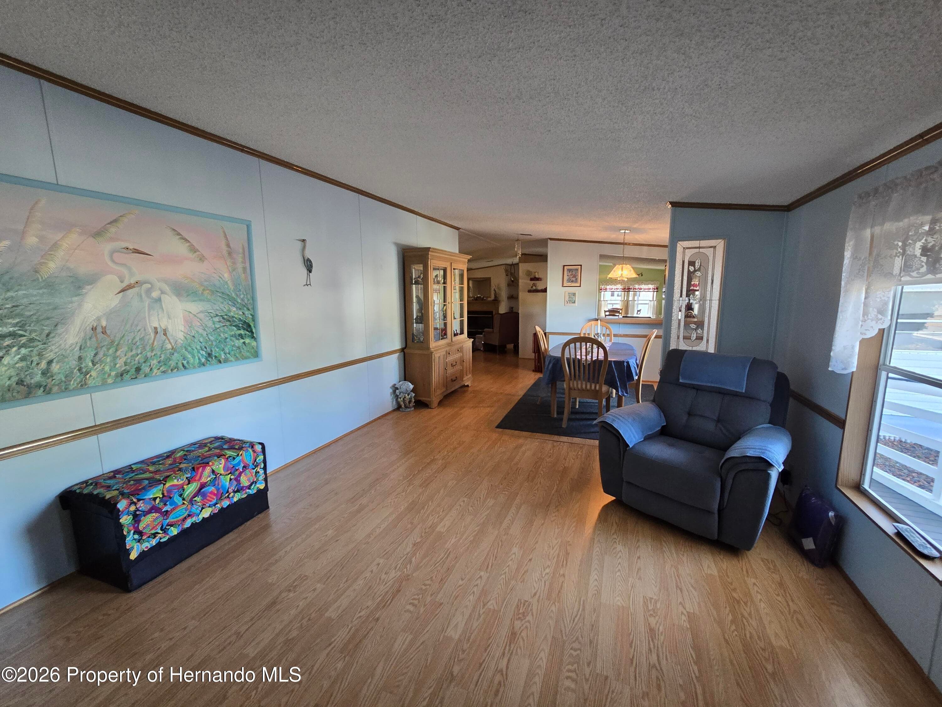 9175 Denmarsh Drive, Brooksville, FL 34613 photo 5