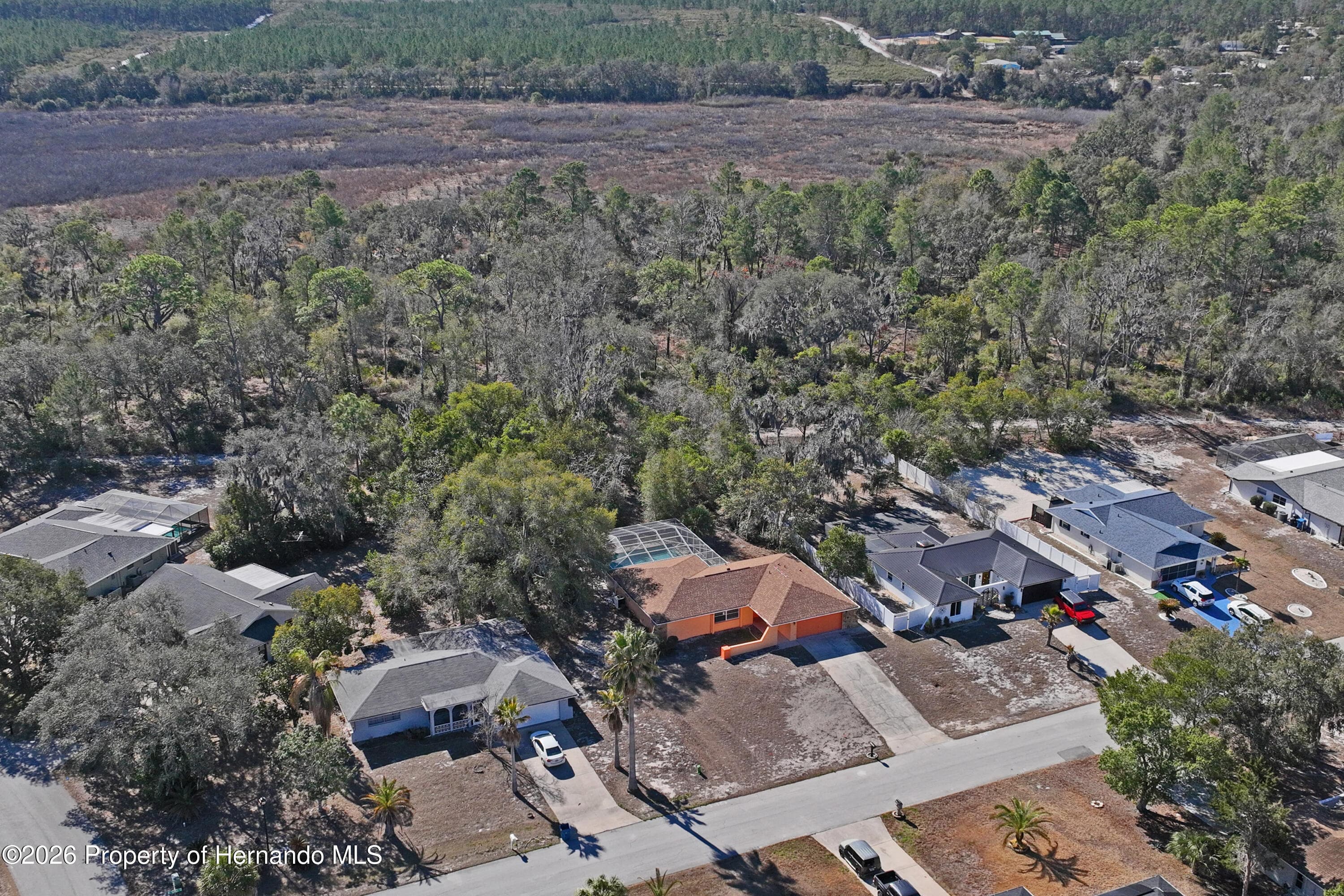 7256 McGinnes Court, Weeki Wachee, FL 34613 photo 2