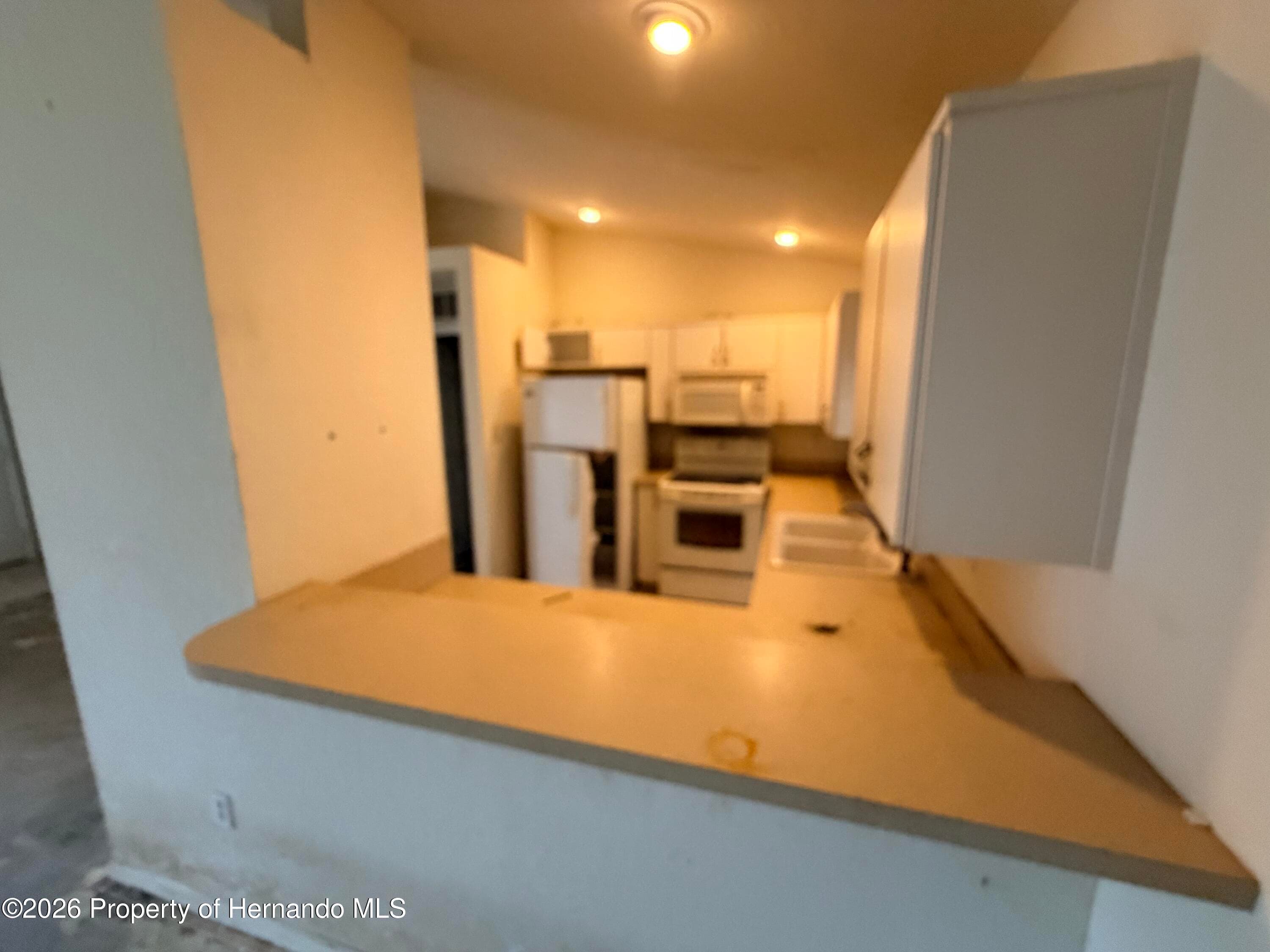 3190 Lema Drive, Spring Hill, FL 34609 photo 4