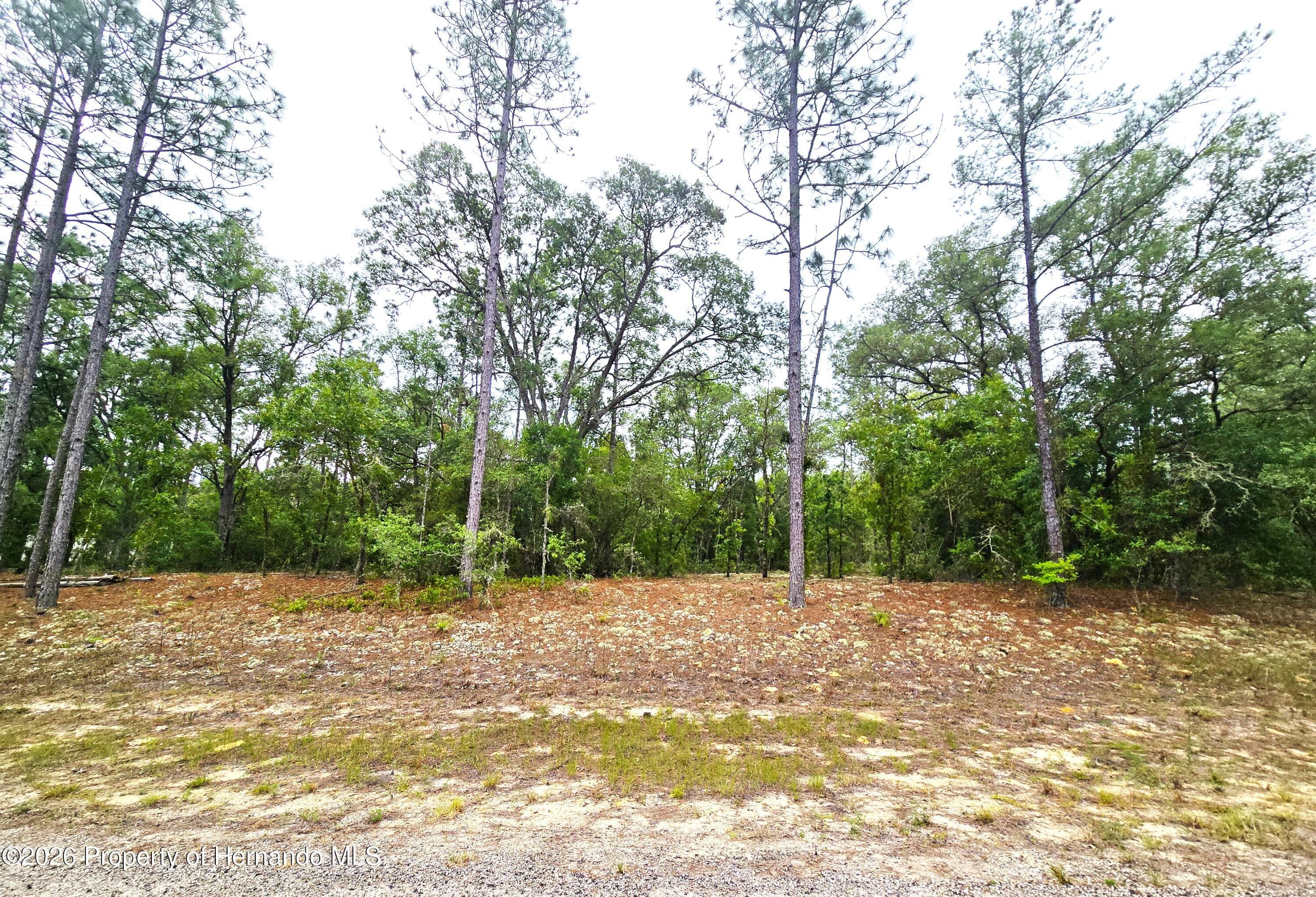 576 E Nemo Drive, Citrus Springs, FL, 34434