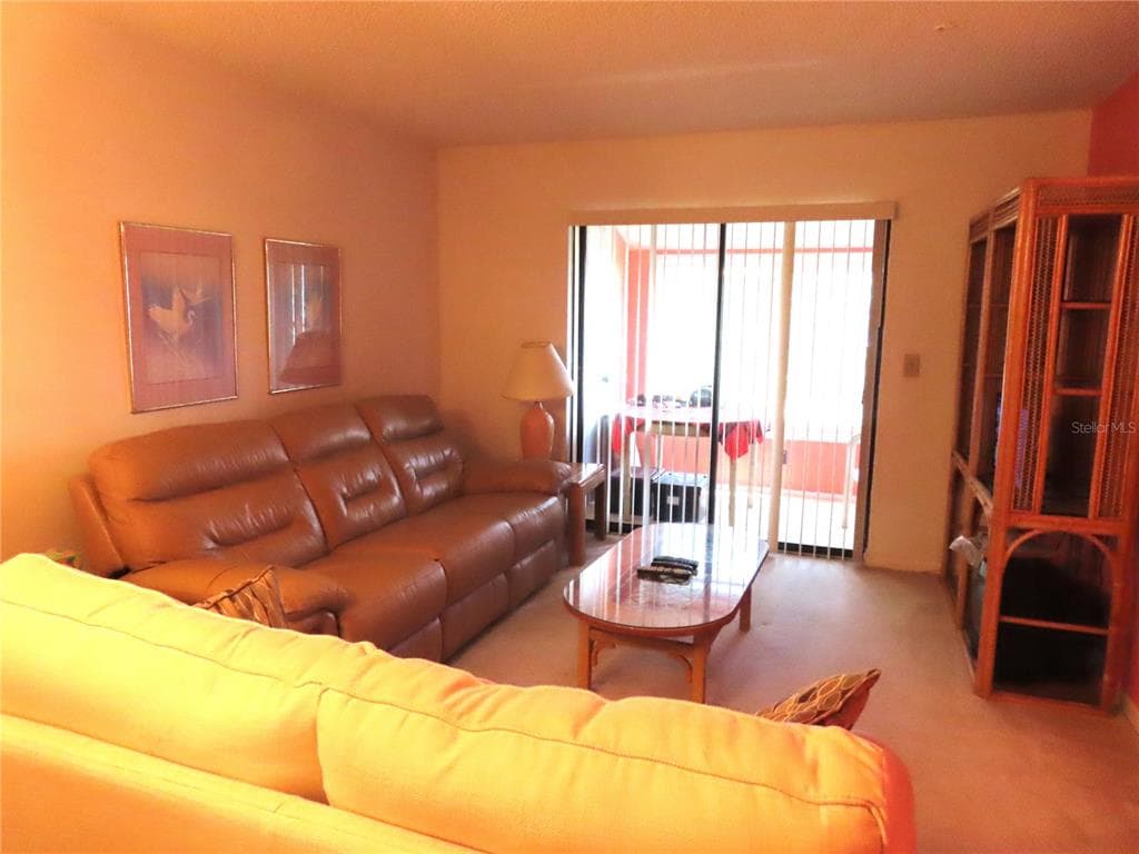 2341 LAKE HEATHER HEIGHTS COURT Unit 2341, DUNEDIN, FL 34698 photo 5