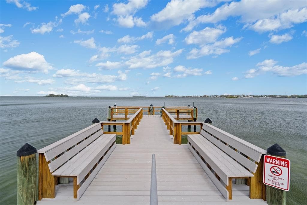 300 WOODETTE DRIVE Unit 203, DUNEDIN, FL 34698 photo 5