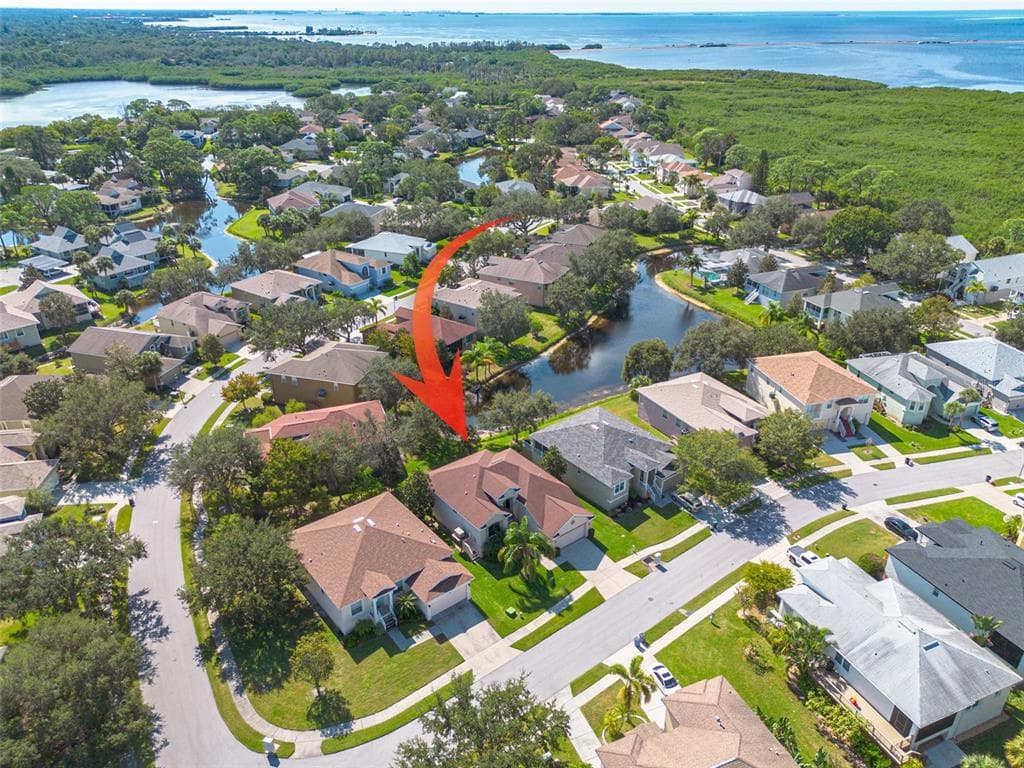 1134 POINTE ALEXIS DRIVE, TARPON SPRINGS, FL 34689 photo 2