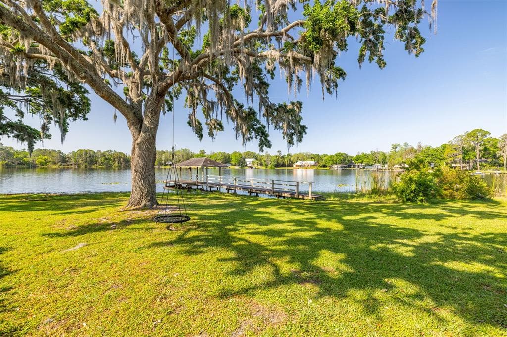 18132 OAKDALE Road, ODESSA, FL 33556 photo 2