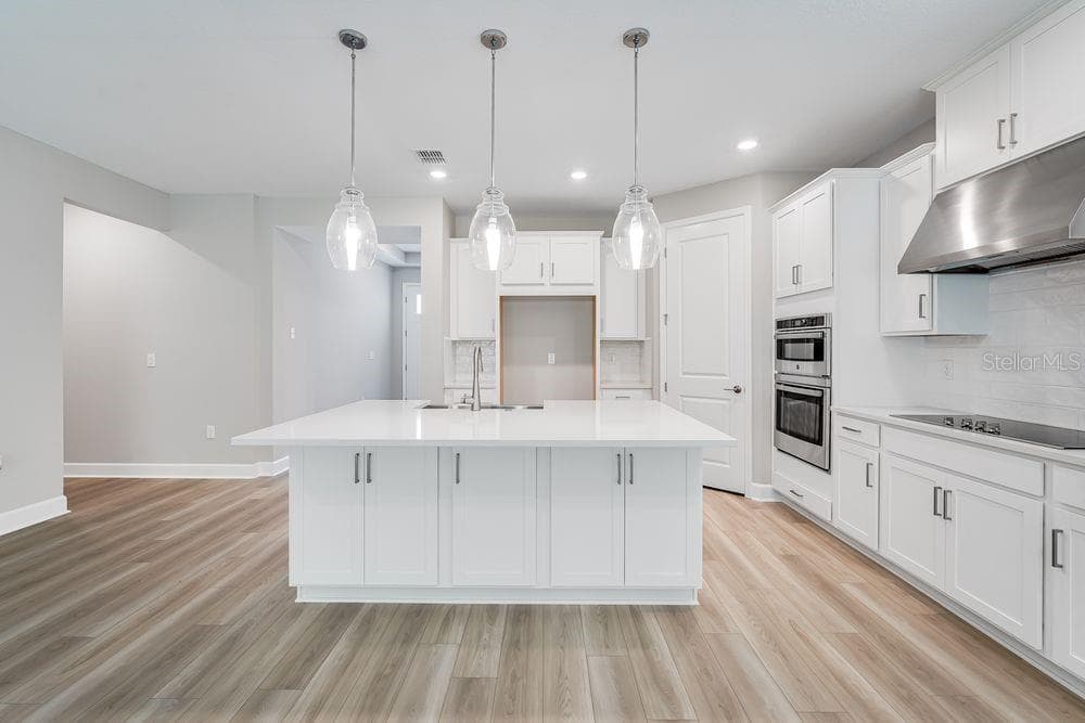 3407 LUMBER FALLS DRIVE, PLANT CITY, FL 33565 photo 2