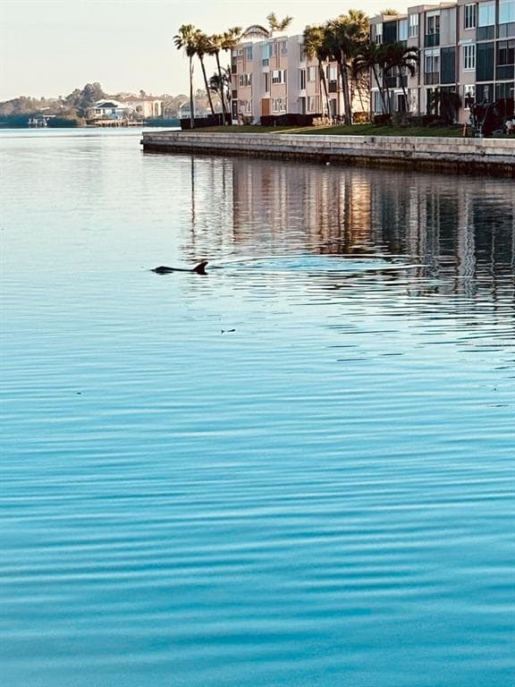 7700 SUN ISLAND Drive Unit 506, SOUTH PASADENA, FL 33707 photo 5