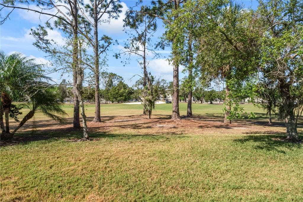 10517 PALM COVE AVENUE, TAMPA, FL 33647 photo 3