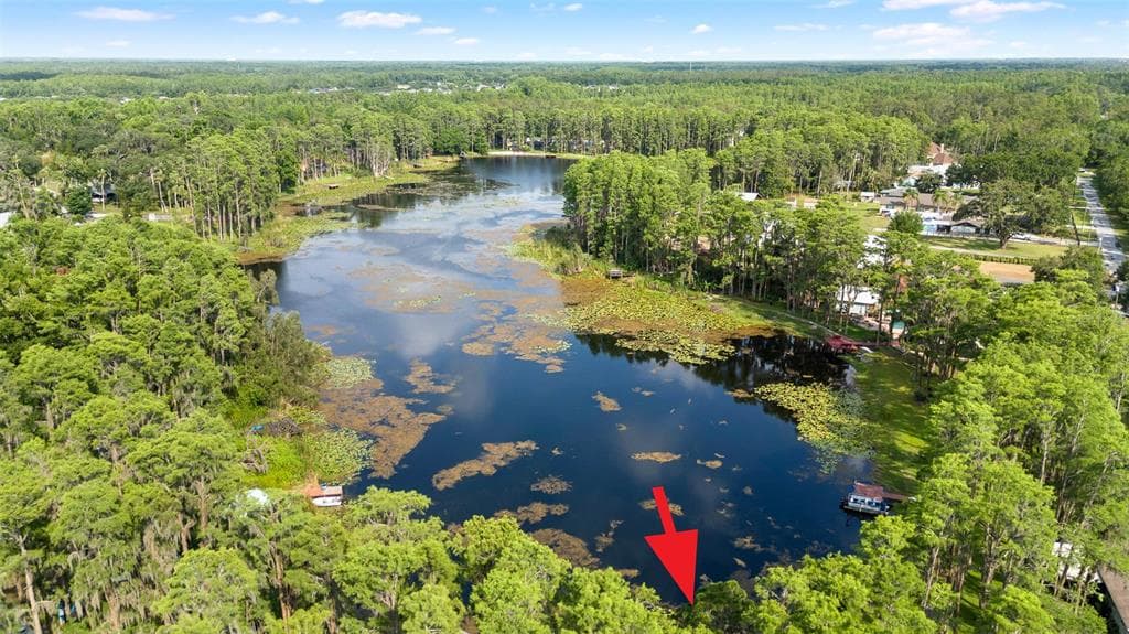 22004 DUPREE DRIVE, LAND O LAKES, FL 34639 photo 3