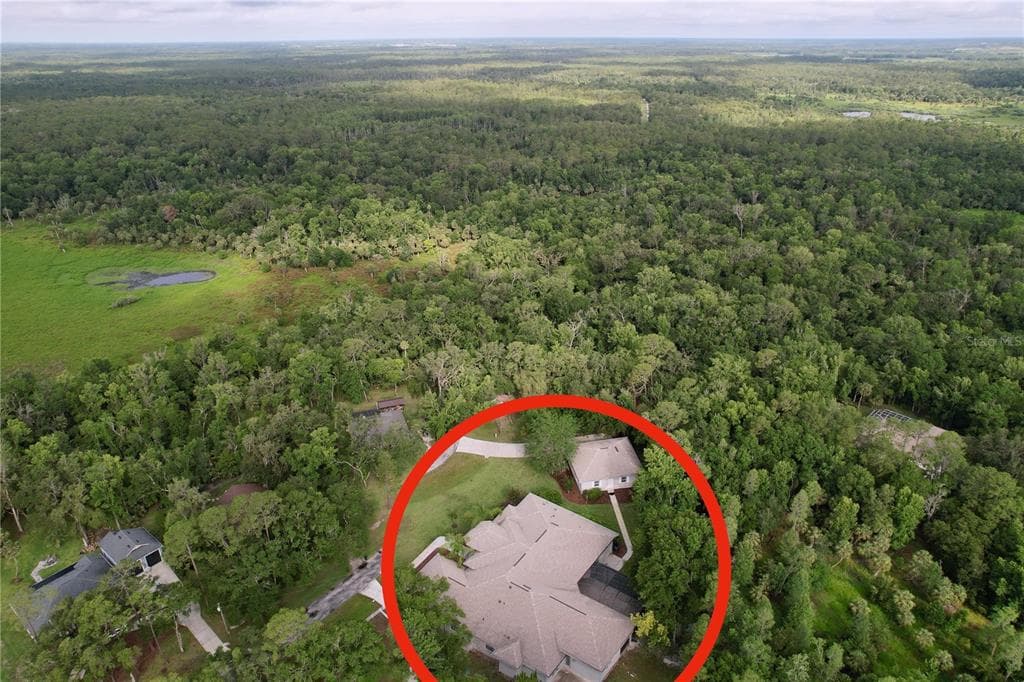 27511 HIALEAH WAY, WESLEY CHAPEL, FL 33544 photo 4