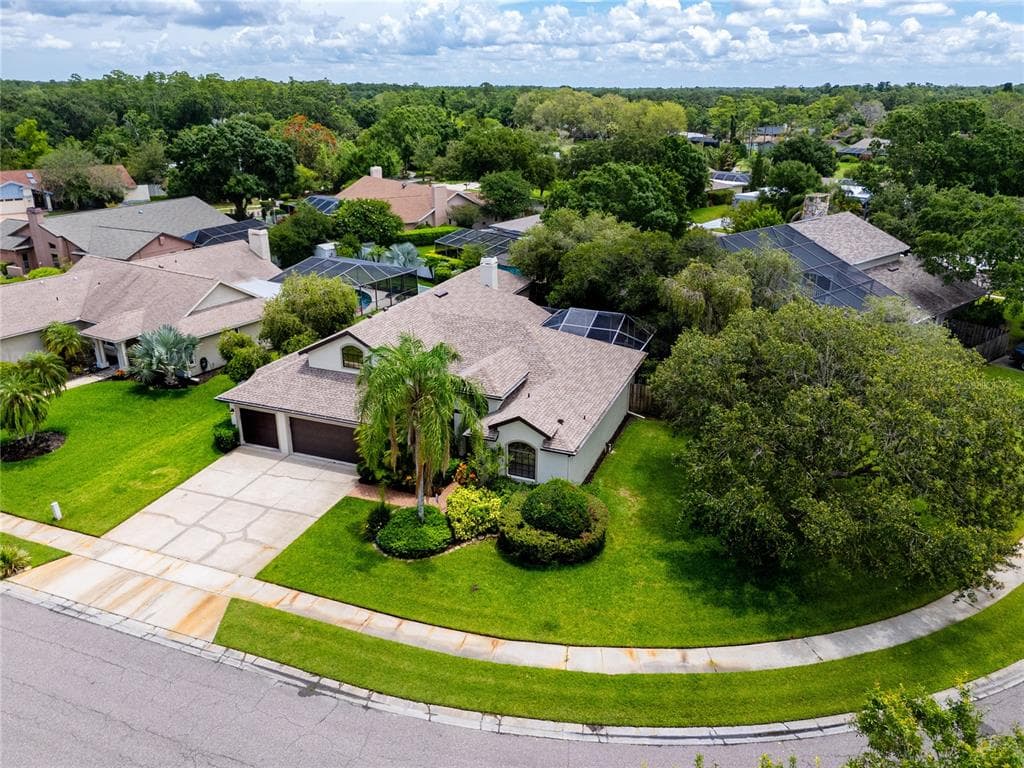 335 PALMDALE DRIVE, OLDSMAR, FL 34677 photo 2