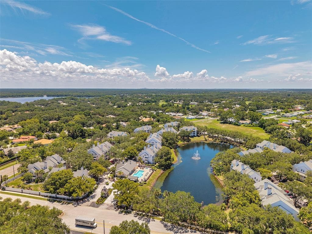 3301 HAVILAND CT, Unit# 301, PALM HARBOR, FL, 34684 photo 2