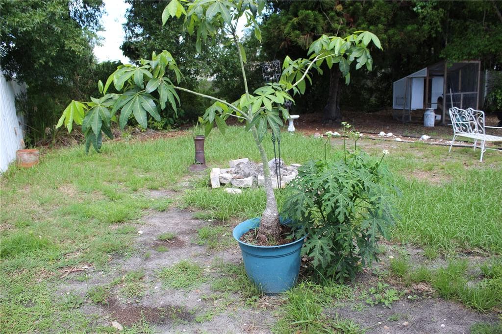 2058 DODGE STREET, CLEARWATER, FL 33760 photo 5