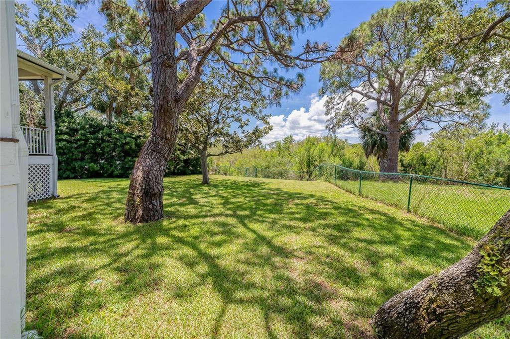 389 GRAND BAY DRIVE, PALM HARBOR, FL 34683 photo 5