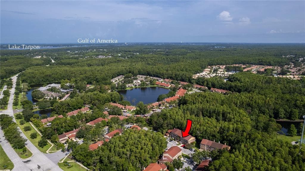 4117 DAVENTRY LANE, PALM HARBOR, FL 34685 photo 3