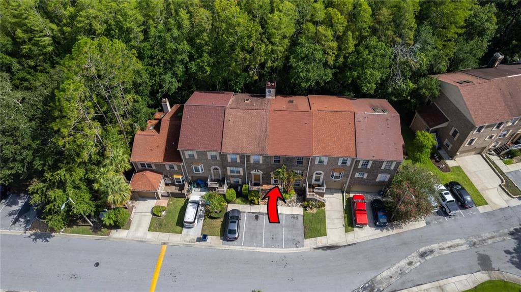 4117 DAVENTRY LANE, PALM HARBOR, FL 34685 photo 4