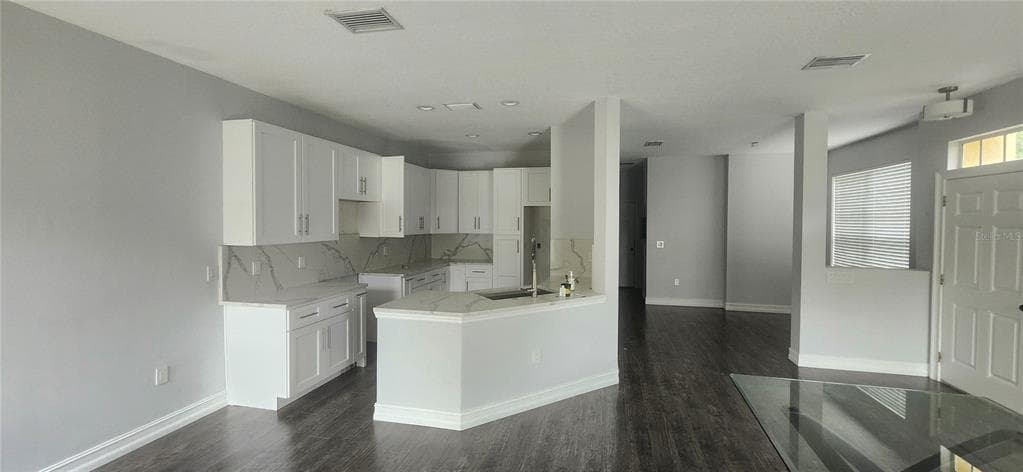 27606 PLEASURE RIDE LOOP, WESLEY CHAPEL, FL 33544 photo 2