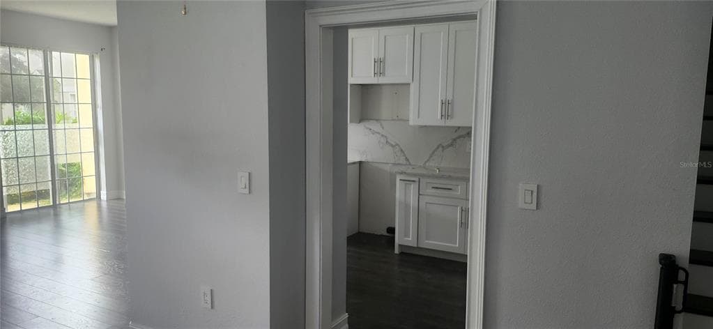 27606 PLEASURE RIDE LOOP, WESLEY CHAPEL, FL 33544 photo 5