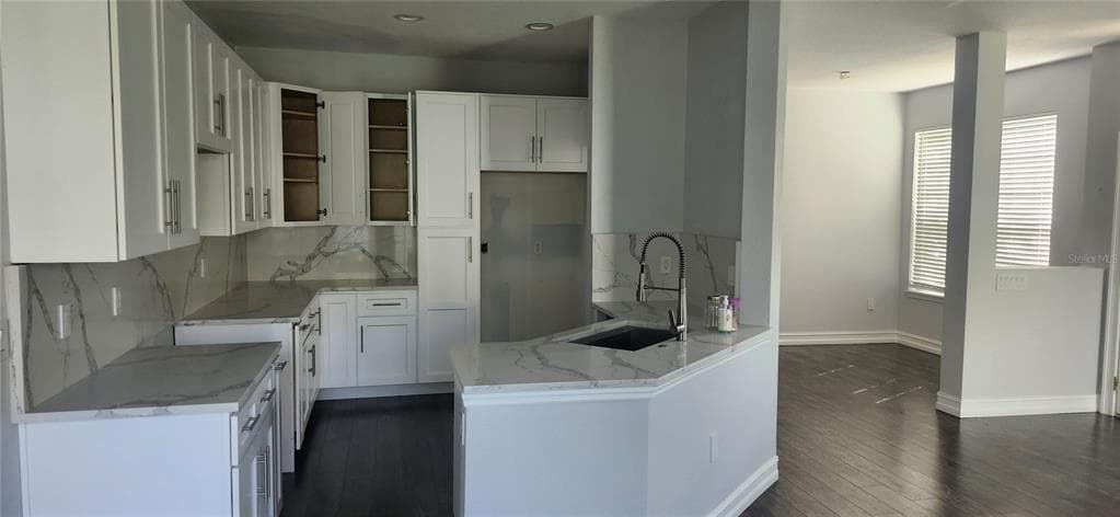 27606 PLEASURE RIDE LOOP, WESLEY CHAPEL, FL 33544 photo 4