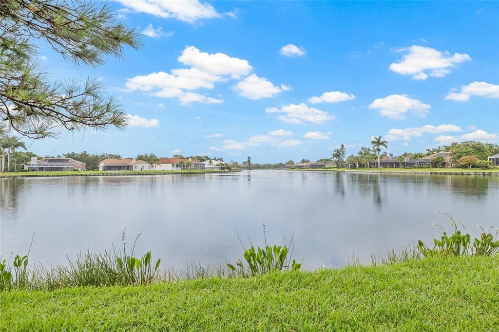 699 MALTA COURT, Street PETERSBURG, FL 33703 photo 3