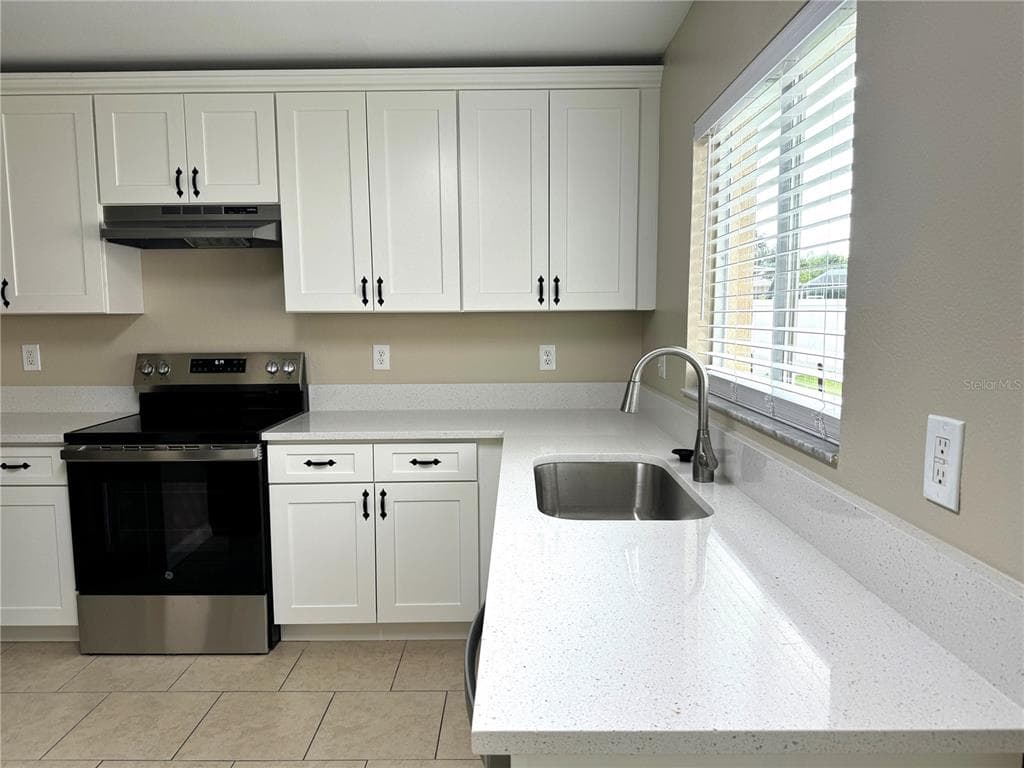 1235 ALPINE LAKE DRIVE, BRANDON, FL 33511 photo 4