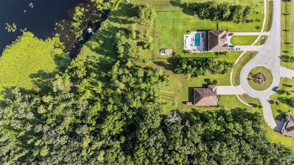 17804 WATERWAY CREEK DRIVE, LUTZ, FL 33549 photo 2