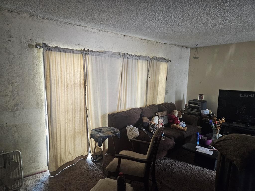 4909 PURITAN Circle Unit 2202, TAMPA, FL 33617 photo 3