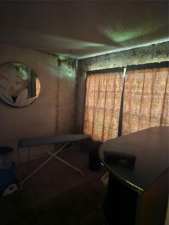 4909 PURITAN Circle Unit 2202, TAMPA, FL 33617 photo 4