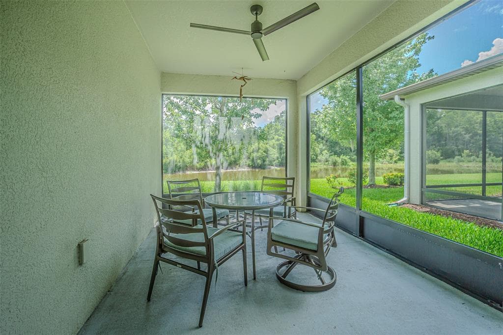 17124 BALANCE Cove, LAND O LAKES, FL 34638 photo 5