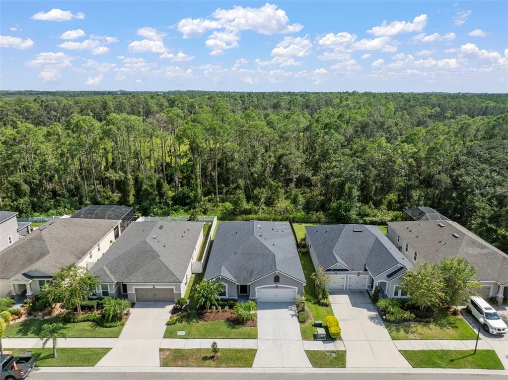 13223 BABY BELLE Drive, RIVERVIEW, FL 33579 photo 5